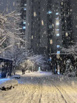 Tuyết đầu mùa.!!#t #tiktok #trending #tuyetroi #xuhuong  ⛄️ ❄️ ♥️🌻