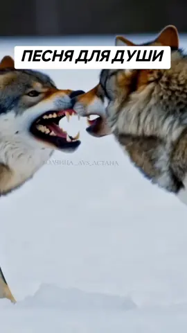 не спеши милый друг #жизнь #песня #музыка #душа #психология 