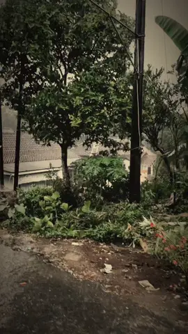 #CapCut #شيخ_حازم_الباوي #باسم_الكربلائي_رادود_ما_له_مثيل #شاشة_سوداء #مالي_خلق_احط_هاشتاقات 