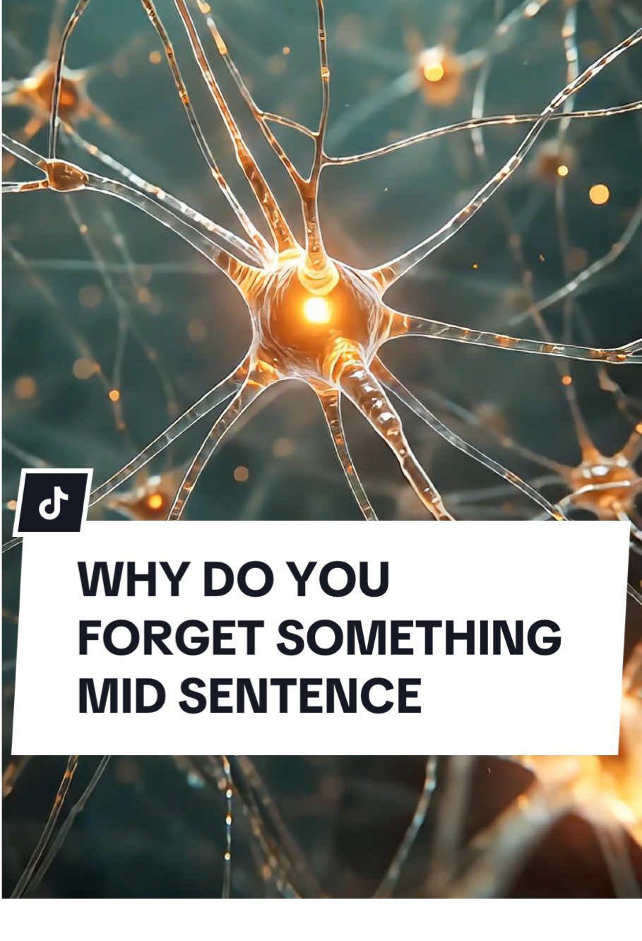 Why do you forget something mid sentence? #Science #body #LearnOnTikTok #DidYouKnow #mindblown   This video may contain AI generated content for storytelling purposes 