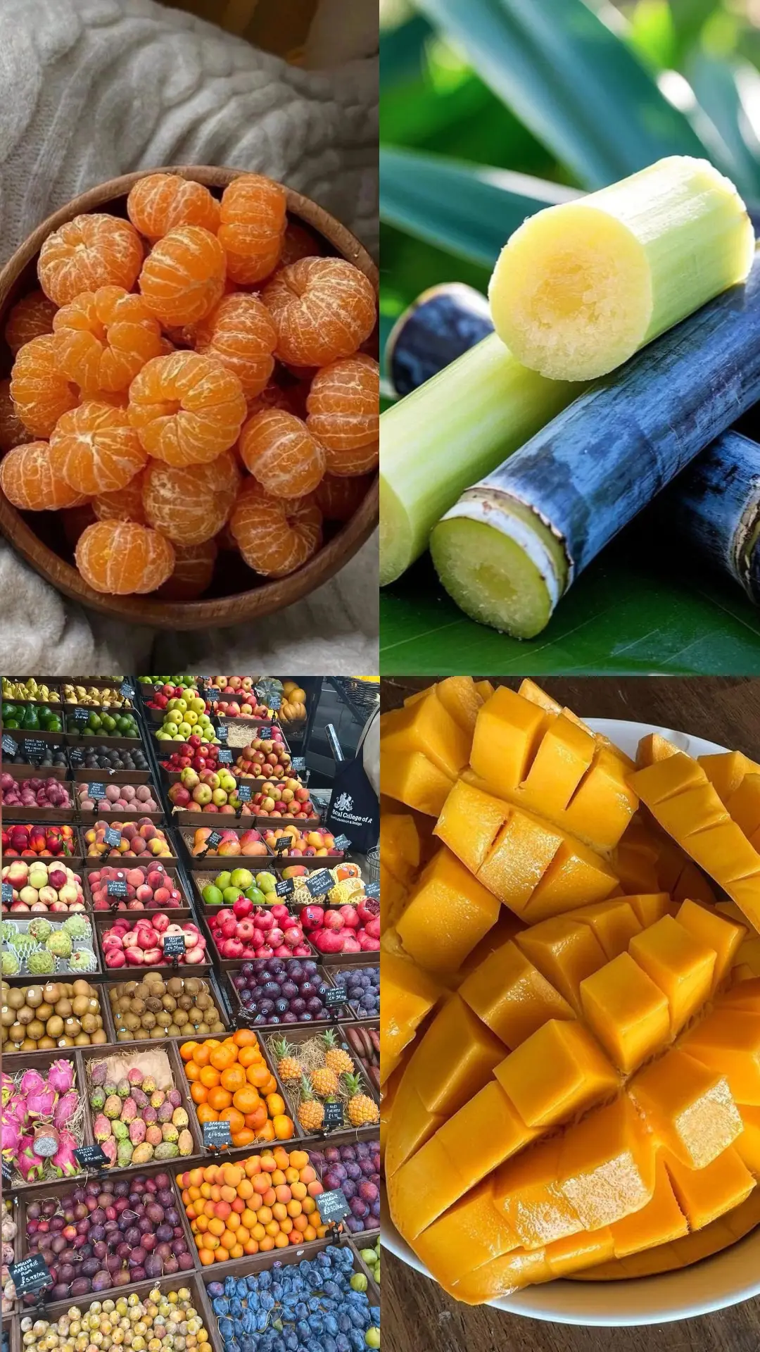 Kansoke neebaze Kojja ffe @muzukulu wakasaanyi okutubangula mu nsonga eno Weebale nnyo Kojja Omukadde🙏🙏🧎🧎        Obadde omanyi essaala ezigendera ku bibala, Kakkana wuliriza era oyige bino. Buli kibala kirina essaala ekilunngamizibwaako, era tebiteekebwateekebwa( FFA) Nsaba buli Muntu arina amatu awulirize nnyo obutaddamu kukola nsobi. TUSIMBUDDE✍️✍️