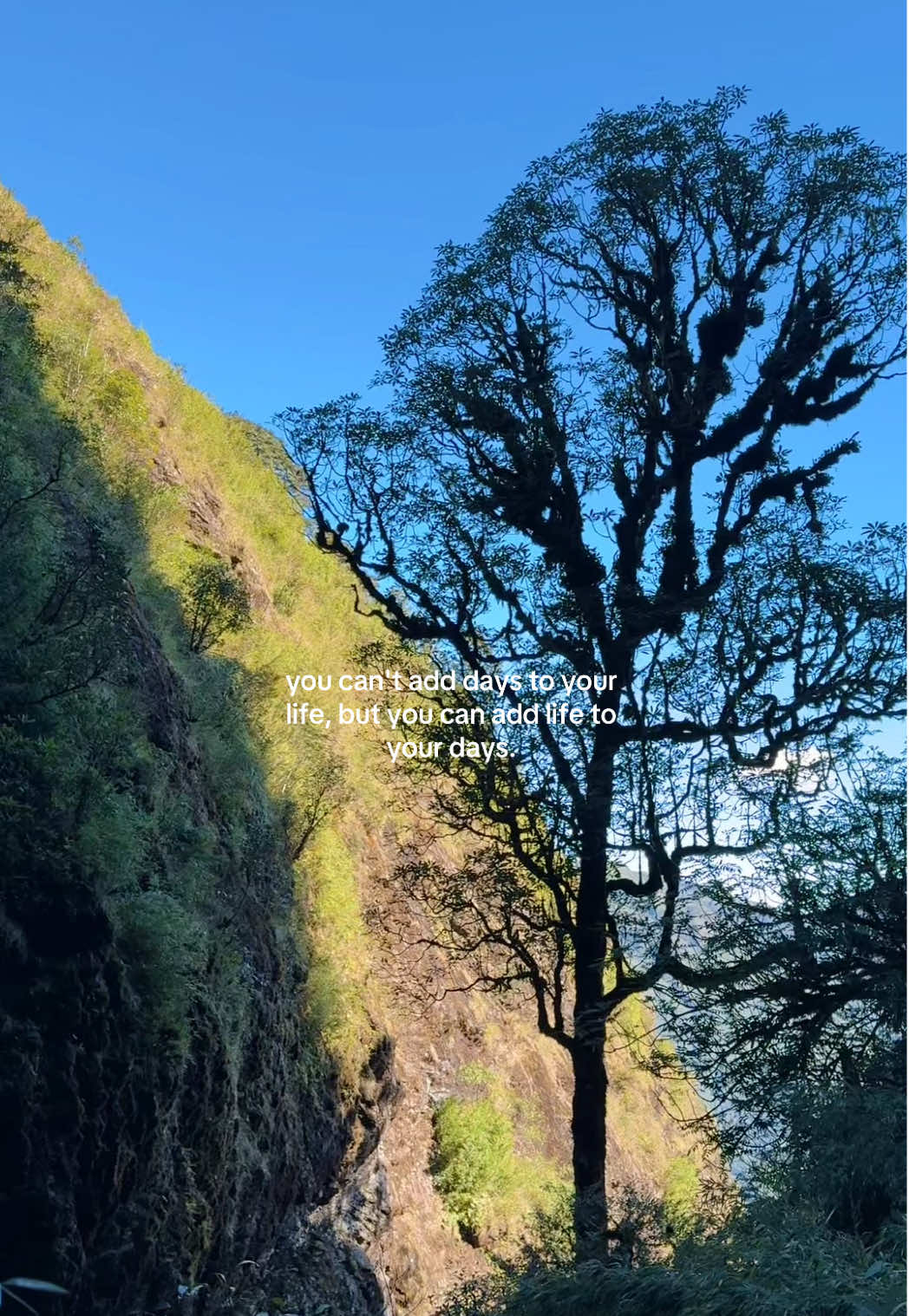 Đi chậm hơn để thấy và cảm nhận 🍃#trekking #chuva12 #canchuathiasang #vietnam #viral 