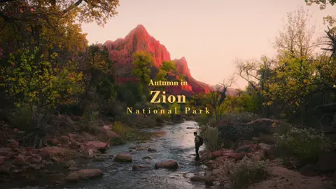 There is nothing like autumn in Zion. 1. Pa’rus Trail 2. Angels Landing 3. Big Bend 4. North of Big Bend 5. The Subway 6. Zion Canyon Overlook 7. West Rim Trail #zionnationalpark #travelwbobby #autumn #sonyfx3 #utah 