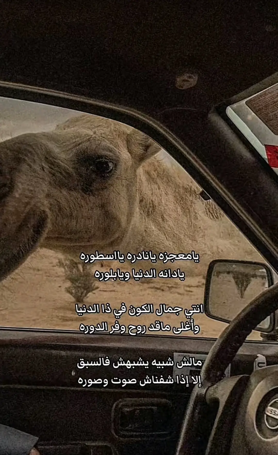 #الشعب_الصيني_ماله_حل😂😂 #مالي_خلق_احط_هاشتاقات 