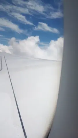 book vé về quê ăn tết 😊