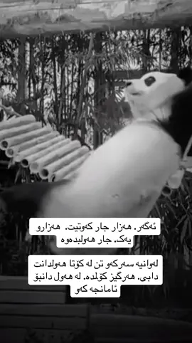 #في هذا اليوم #لاحول_ولا_قوة_الا_بالله_العلي_العظيم #سلاوات_لە_سەر_گیان_پێغمبەر_د_خ🤲📿 