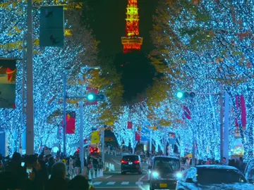Christmas in Tokyo.  #tokyo #cinematic #christmas #japan #tokyotower 