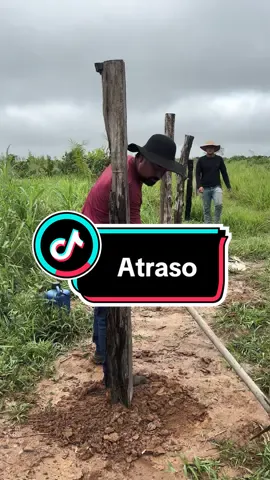 O gabiru está chegando atrasado #humor #comedia #fazenda #puxasaco #tiktokviral