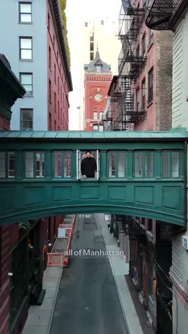 What you decide to put in the skybridge will determine the background of millions of photos 😂    I’m a real estate agent and I work with people at ALL price points so please don’t hesitate to reach out  Currently Listed 9 Jay St: $29,995,000 Listed by @hudsonadvisory @claytonorrigo  1 Bed 2+ Baths 8,170 sq ft #Anthonyrichpark #nyc #nycrealestate #realestate #newyork     