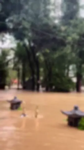 Thương miền trung#tuanhung 