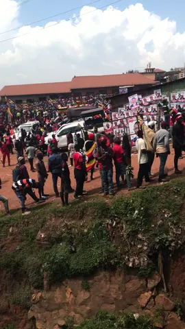#NUP #nextpresident OF #uganda ROBERT #kyagulanyirobertssentamu #bobiwineuganda✊✊✊✊✊✊ #bobiwine #protestvote2026 #creatorsearchinsight #vote 