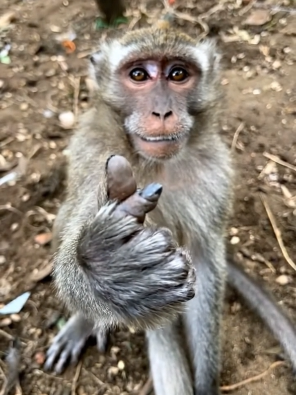 selamat ulang tahun😊 #fypシ 