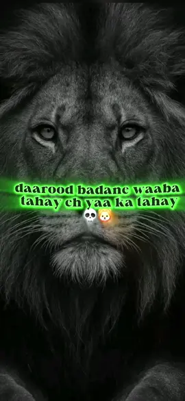 ha lagu barto🦁💀 #somalitiktok #viraltiktok #puntilandsomalia 