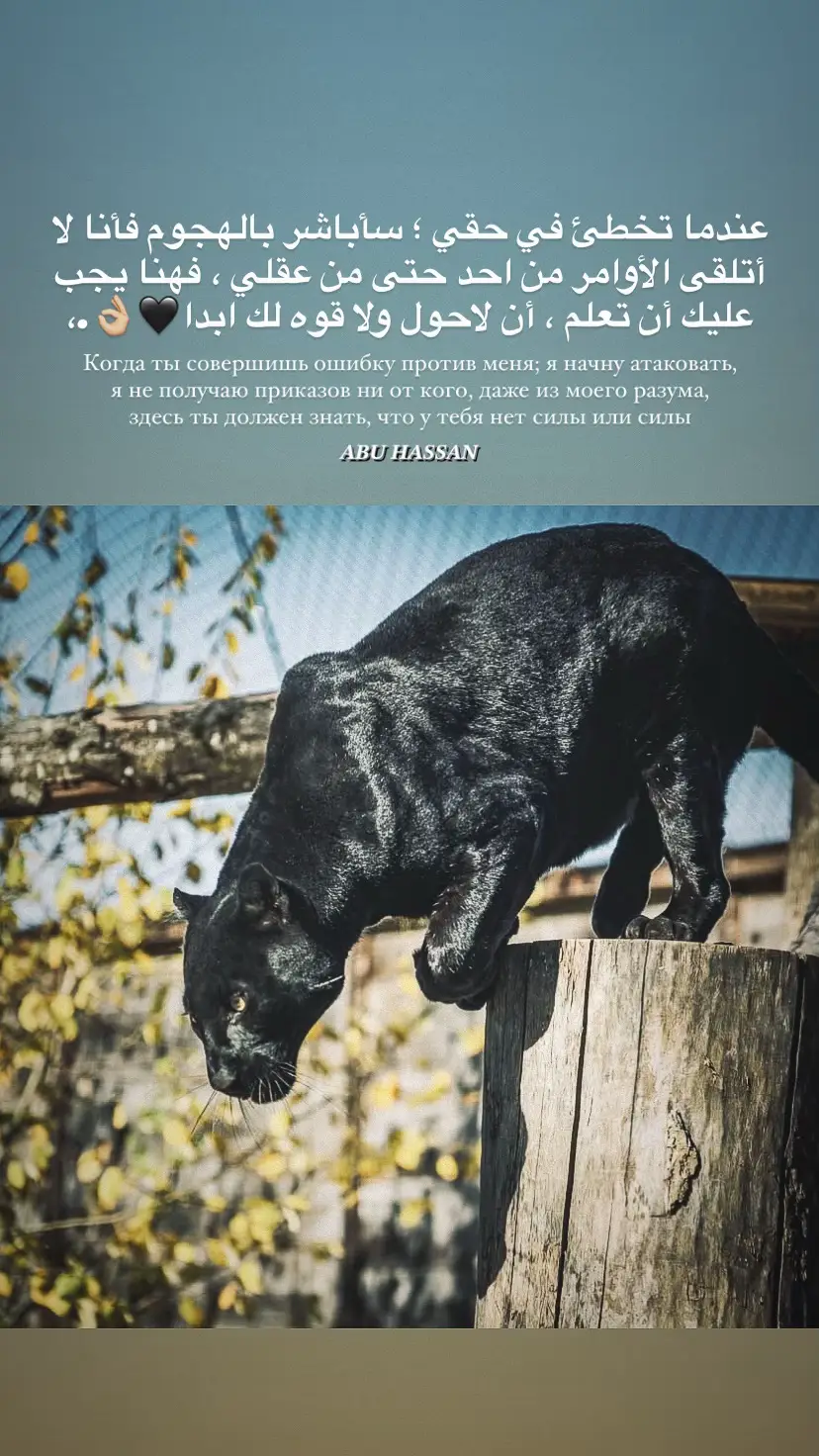 #عبارات #اب_الحسن🖤📿 #🇷🇺тиктокроссия🇷🇺 