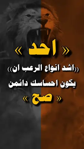 #عـــ💓ــبارات✈️🇾🇪✈️الزلزال_ #_اليـ᭄ـماني_تـصميم🌹فيديوهات_🌺طناخه🍃 #عبارات_جميلة_وقويه😉🖤 #تصميم_فيديوهات🎶🎤🎬 #صنعاء_تعز_عدن_اب_ذمار_حجة_حضرموت_الحديدة 