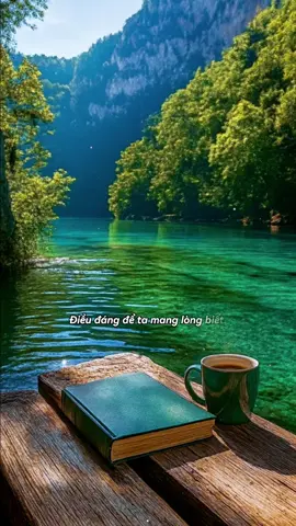 #CapCut Trong đời người #nhactamtrangbuon1233 #tamtrang #nhactamtrang #nhachaymoingay 