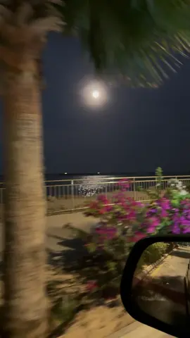 وعيونهم ياما بنوره تلاقن'