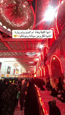 #creatorsearchinsights #اللهم_صلي_على_نبينا_محمد #كربلاء #tiktokviral #ياحسين 