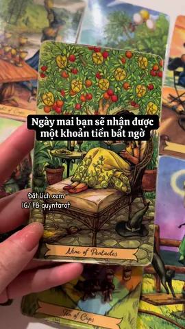 #quyntarot #thongdiepvutru #tarotreader 