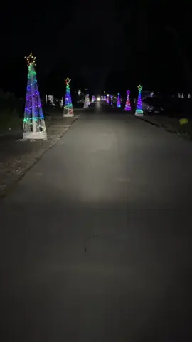 Sepanjang jalan penuh pohon natal #brandatiktok #merrychristmas🎄 #nttpride🏝🔥fypシviral #maumere_manisee🏝 