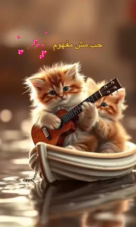 #حب_مش_مفهوم  #viral #foryou #new #foryoupage  دلوقتى على اليوتيوب فى لينك ال bio 🥰❤️‍🔥