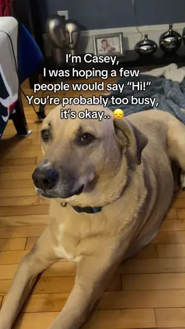 #petlovers #fyp #dogsoftiktok #doglovers #cutedoggy 