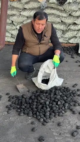 Ойбек  #88   #994    #50    #56  