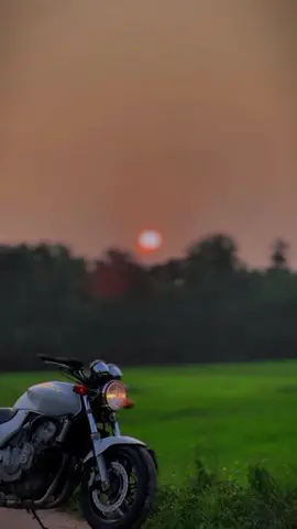 Six Boy #srilankan_tik_tok🇱🇰 #onemillionaudition #viral_video #foryoupage #fyppppppppppppppppppppppp @Asᴇᴇᴍ @Niff _88_ 