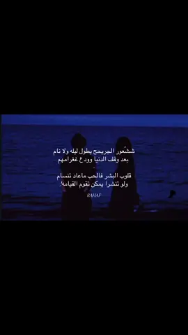 #اكسبلورexplore #فلاح_المسردي #اكسبلوررر #لايك__explore___ #فلاح_المسردي 