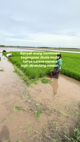 Karna iri jadi gengsi 😁🤭 #petani #petanipadi #semangatberjuang #fyp #fypage 