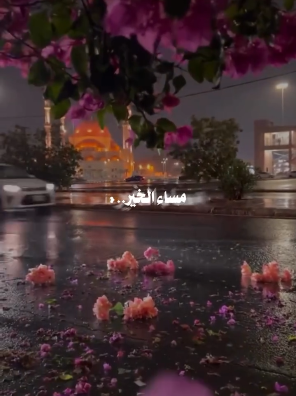 😘مساء الخير ❤️