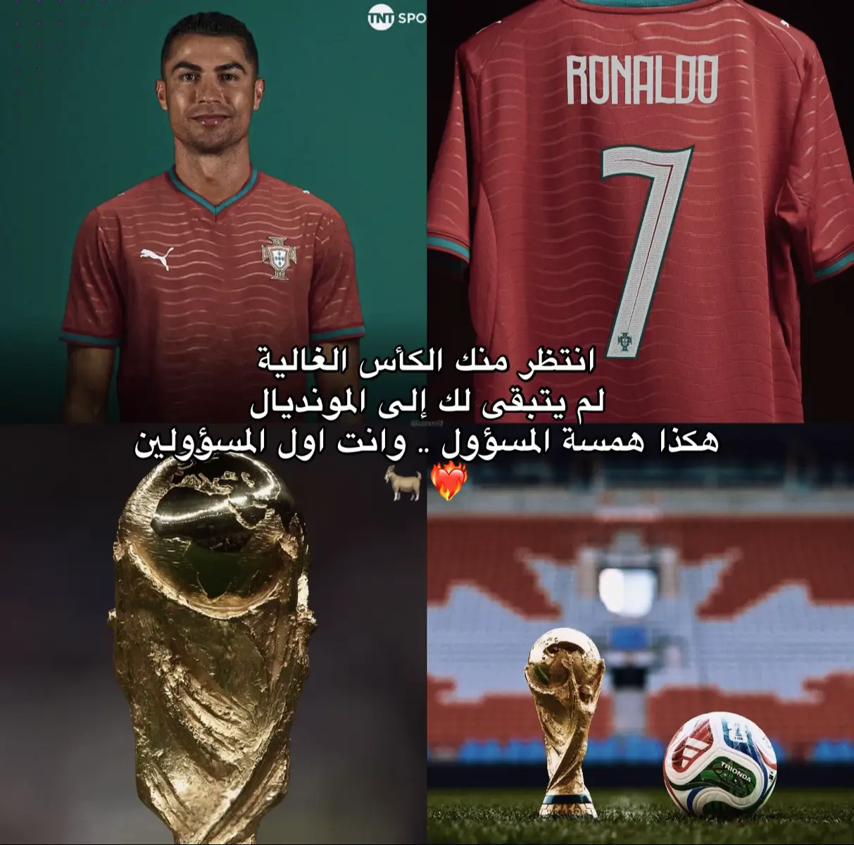 #cristianoronaldo #worldcup #foryou #portugal #viral 