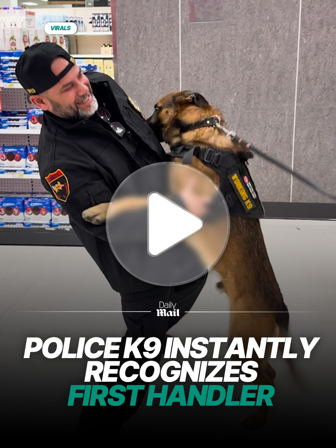 They were so happy to be reunited 🥰 🎥 dpk9services.com via ViralHog #police #k9 #reunion