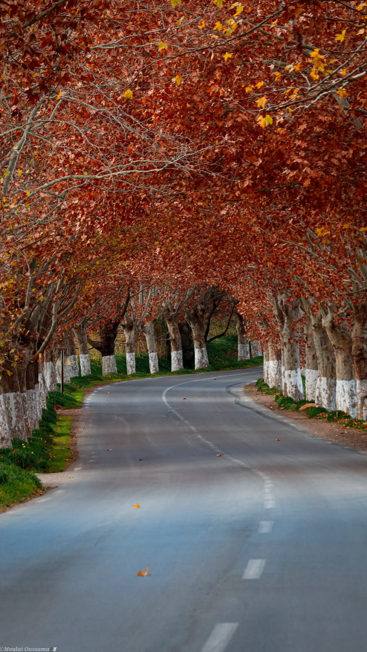 #tiktoktravel #viral #algerie #algeriatiktok #explor 