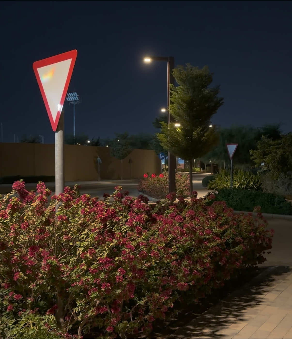 سنة مرت … #fyp #viral #الرياض #riyadh #هواجيس 