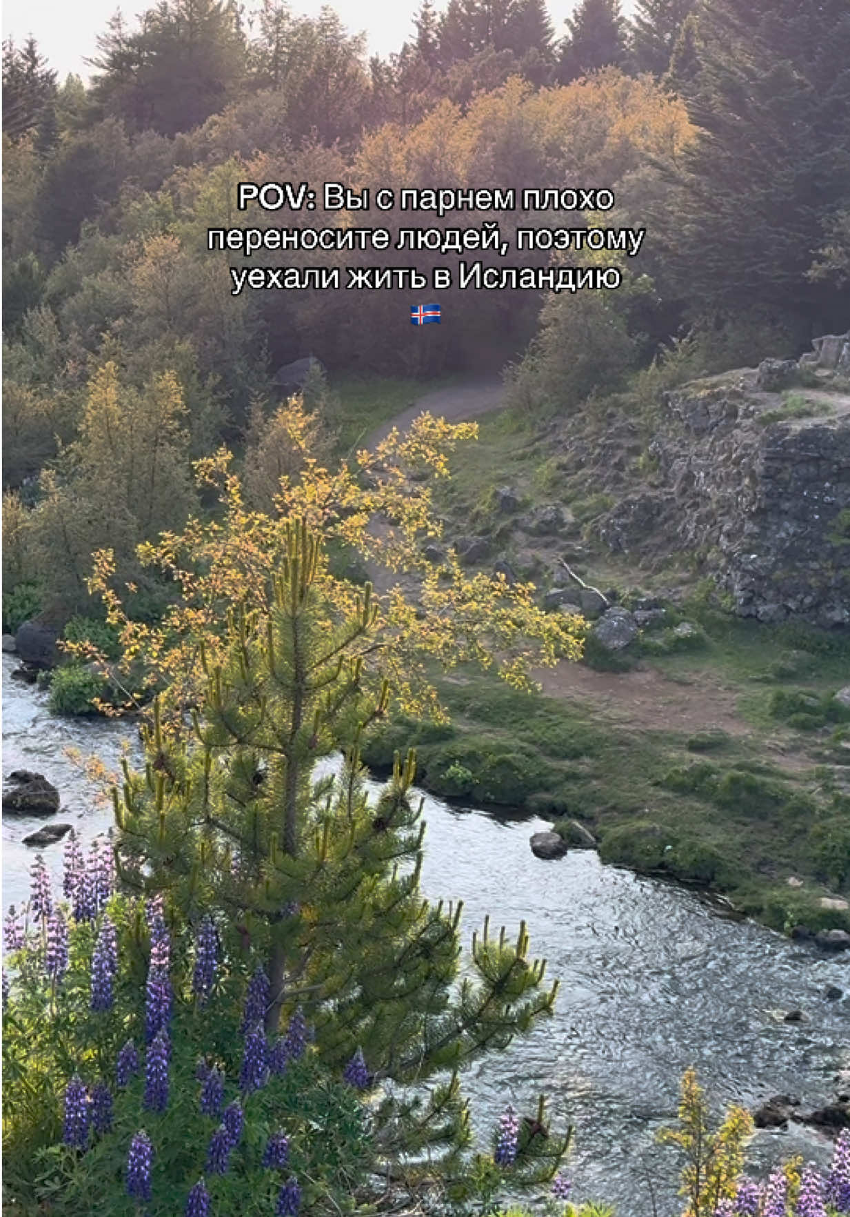 Тгк: Полярная Лиза 🇮🇸🤘🏼Скандинавия - как спасение для одиночек и ценителей хорошей жизни #CapCut #север #исландия #жизньзаграницей 