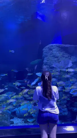 🐠💙