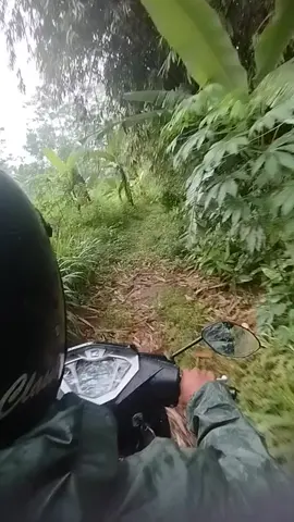 Mantir senior rasa junior#fyp #plecithitz #nasabahkoperasi #plecitganteng 