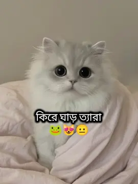 কিরে ঘাড় ত্যারা 🤨🐸 কি করিস😆😆😆#ti̇ktok #viral #foryou #ইনশাআল্লাহ_ভাইরাল_হবে🤲🤲🤲🤲 