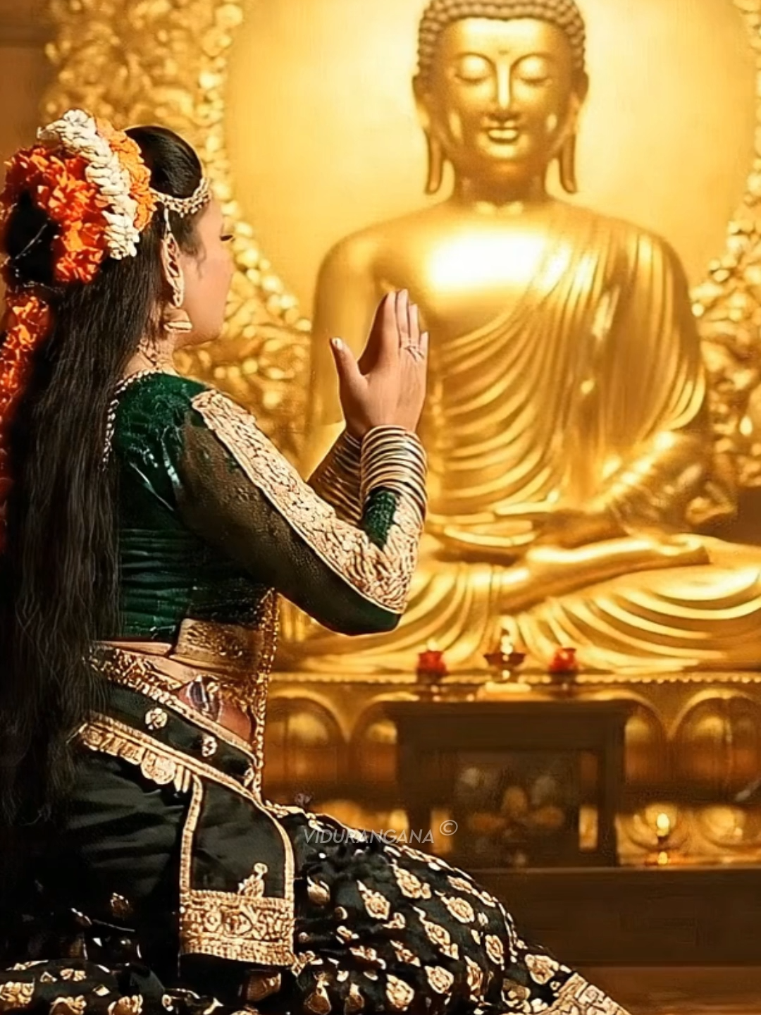 පින්බර පොහොය දිනයක් වේවා...!! ✨🙏 අවුරුද්දේ අවසාන පොහොය දිනය.රටේ සියලු කරදර දුරුවේවා යැයි පතමු ..!! 🙏  #Vidurangana #Poyaday #budhdha #buddhism