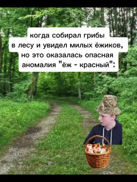 крайне опасная аномалия #мем #меллстрой #ежик 