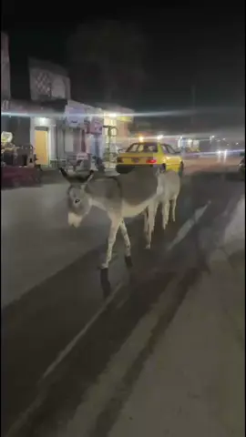 #foryou #forviralvideo #unfrezzmyaccount #support_me #❤️‍ 