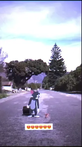 Tom and jerry songs whatsapp status #terdingvideo_tiktok #tomandjerry🤣 #support_me #tomjerry😻😸 #tpyシforyou❤😊 