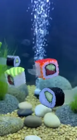 Tiere in freier Wildbahn Teil 10: Maki Sushi Fische