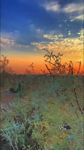 رسول حافظ📸#تصويري #تصويري_احترافي_الاجواء👌🏻🕊😴 #جواد الساعدي#اغاني #موال حزين