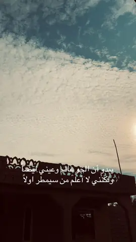 #شعر #شعروقصايد #fyp 