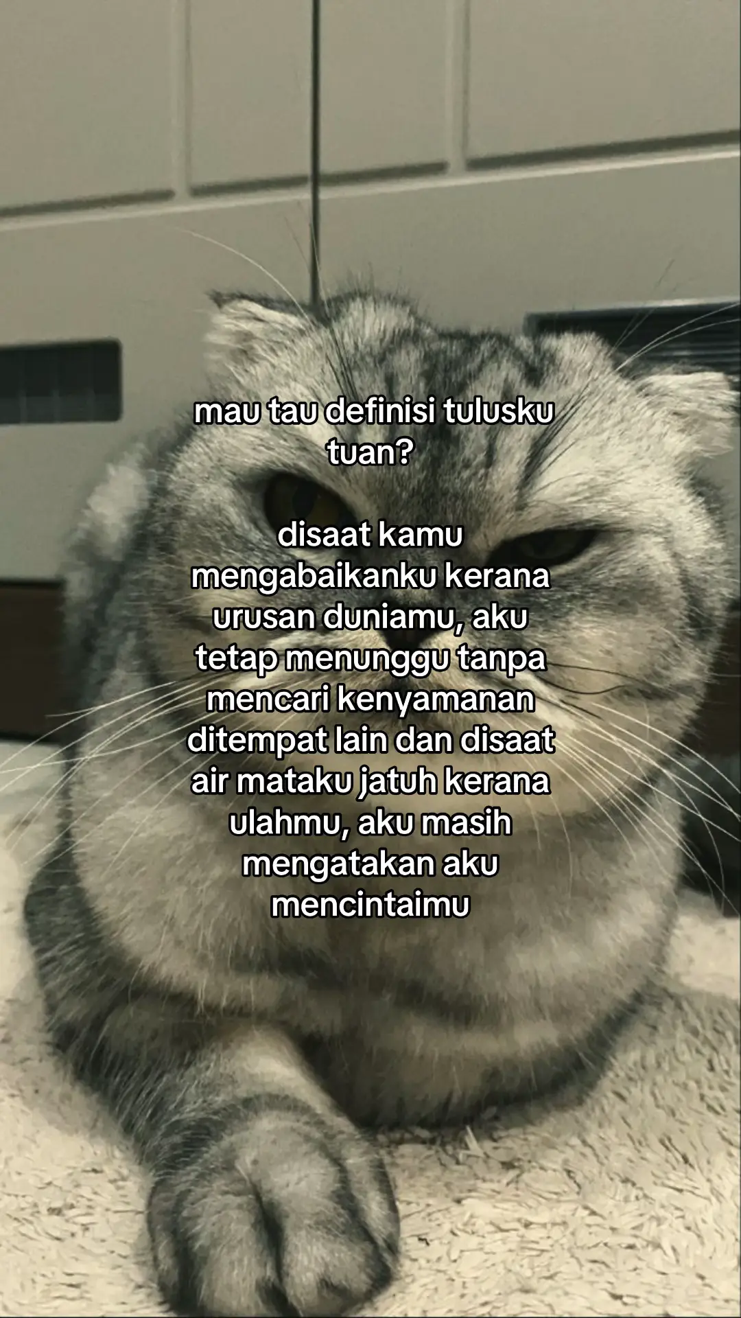 #xybca #foryou #4u #fypdong #qoutes 