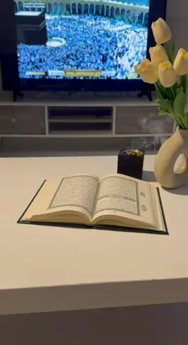 #الاحساء #اكسبلور 