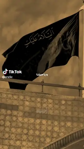 #أم_البنين_اباالفضل_العباس #سيدفاقدالموسوي 