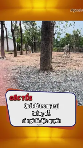 Quét lá trong trại, điều ít ai biết #goctoi #tiktoknew #viral #phapluat #giangho